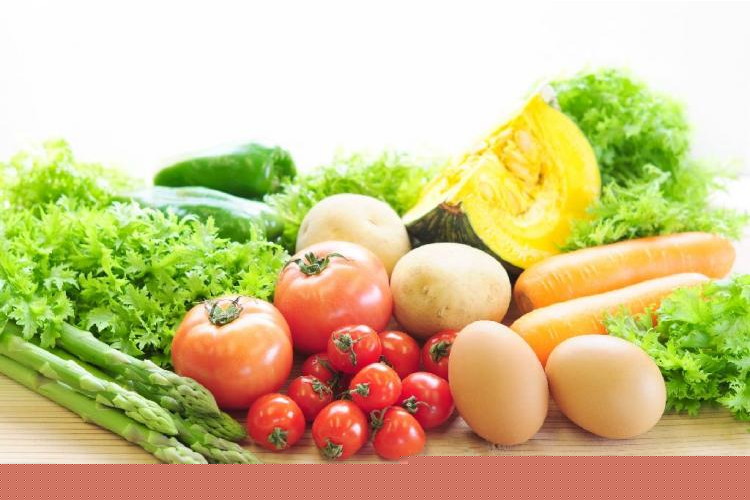 株式会社メフォス北日本（本間記念　東北整形外科医院）