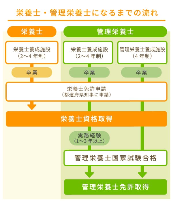 栄養士・管理栄養士になるまでの流れ